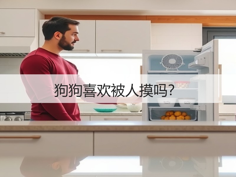狗狗喜欢被人摸吗？