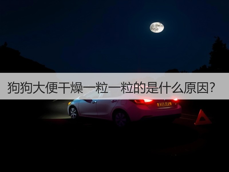 狗狗大便干燥一粒一粒的是什么原因？