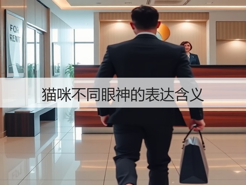 猫咪不同眼神的表达含义