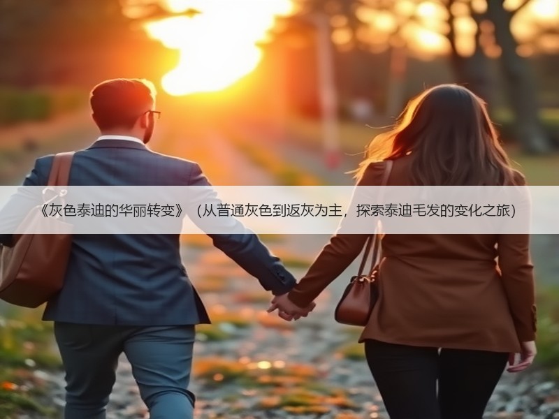 《灰色泰迪的华丽转变》（从普通灰色到返灰为主，探索泰迪毛发的变化之旅）