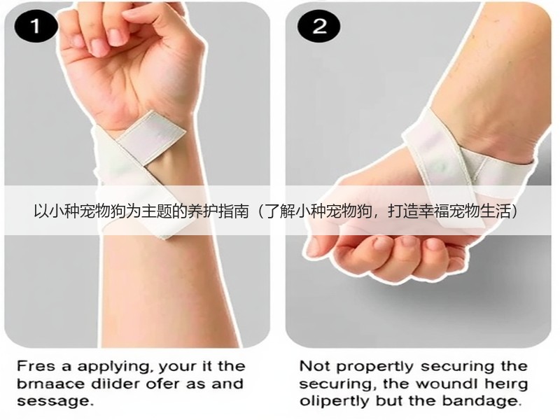 以小种宠物狗为主题的养护指南（了解小种宠物狗，打造幸福宠物生活）