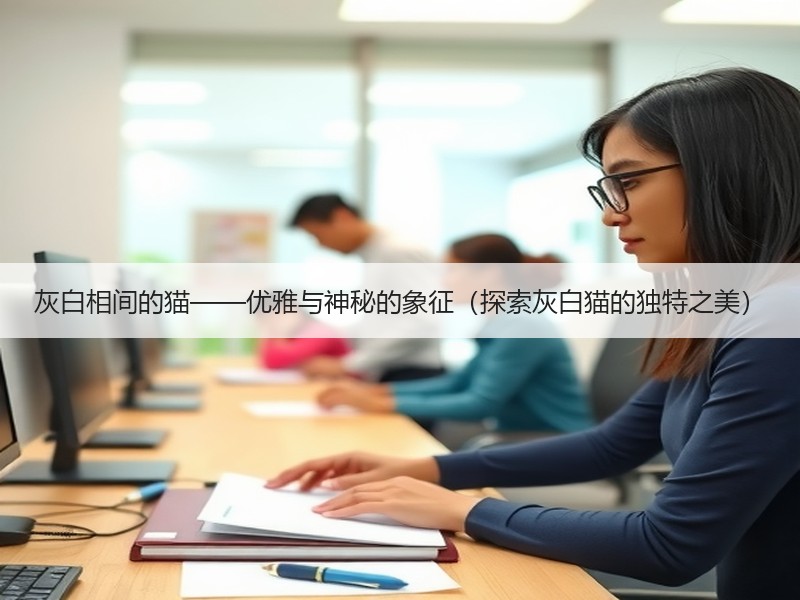 灰白相间的猫——优雅与神秘的象征（探索灰白猫的独特之美）