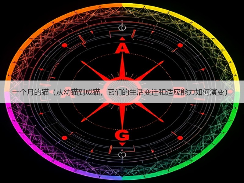 一个月的猫（从幼猫到成猫，它们的生活变迁和适应能力如何演变）