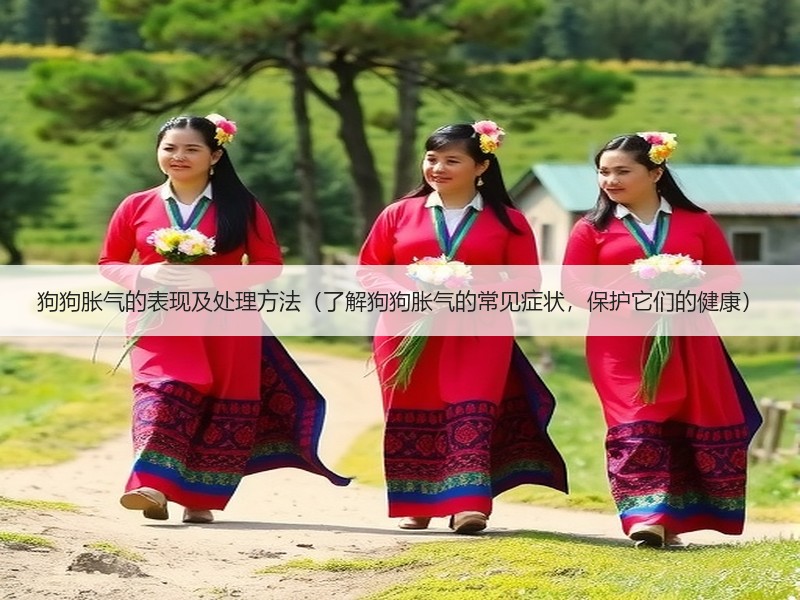 狗狗胀气的表现及处理方法（了解狗狗胀气的常见症状，保护它们的健康）