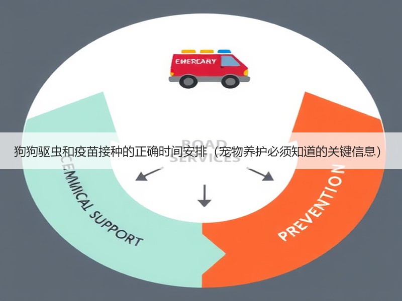 狗狗驱虫和疫苗接种的正确时间安排（宠物养护必须知道的关键信息）