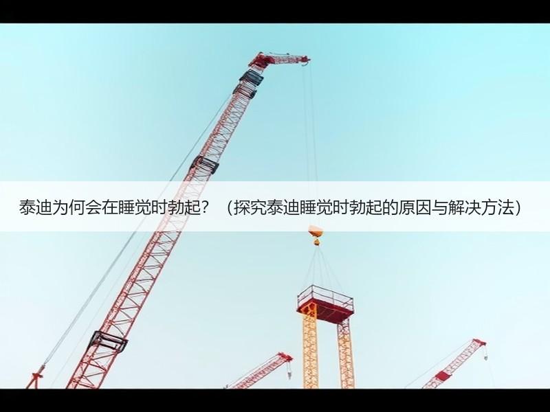 泰迪为何会在睡觉时勃起？（探究泰迪睡觉时勃起的原因与解决方法）