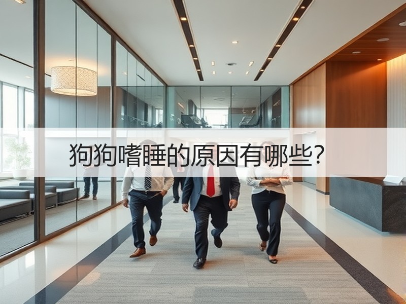 狗狗嗜睡的原因有哪些？
