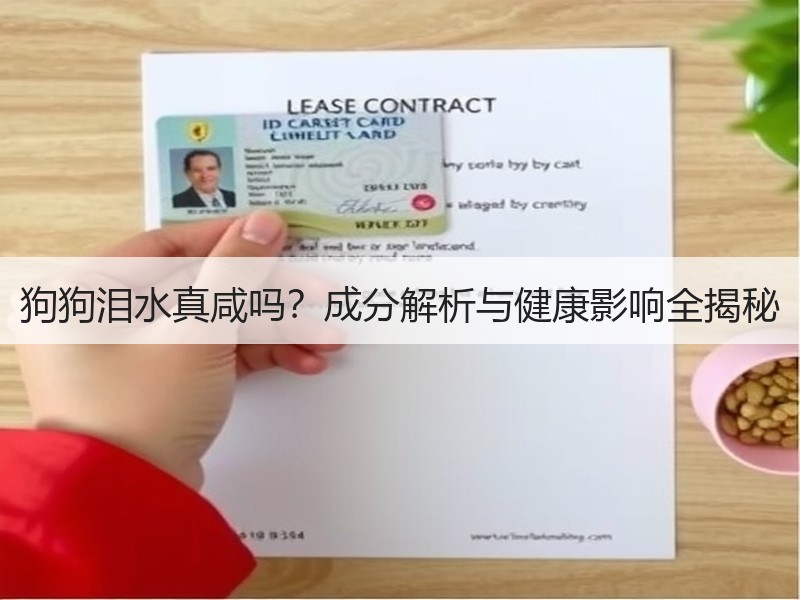 狗狗泪水真咸吗？成分解析与健康影响全揭秘