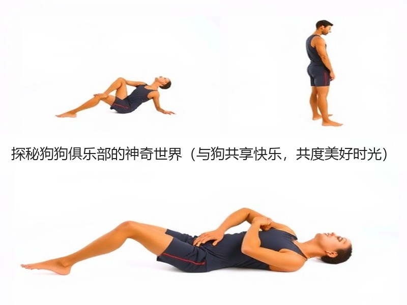 探秘狗狗俱乐部的神奇世界（与狗共享快乐，共度美好时光）
