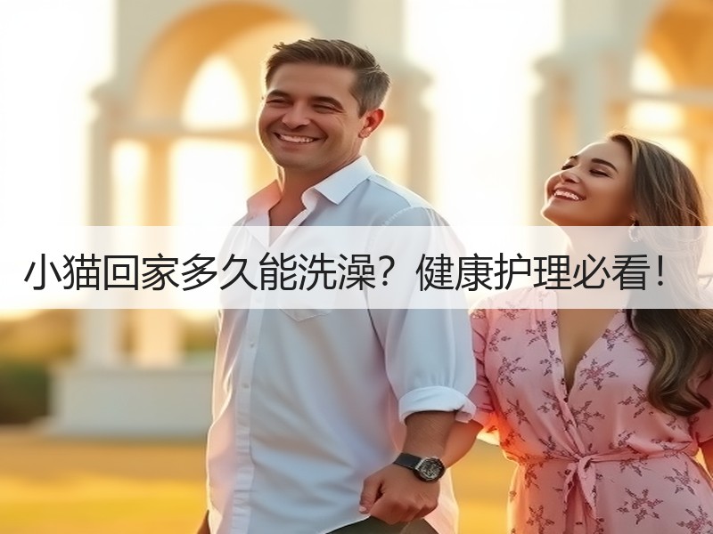 小猫回家多久能洗澡？健康护理必看！