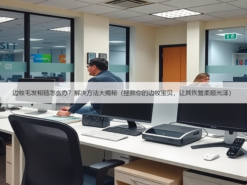 边牧毛发粗糙怎么办？解决方法大揭秘（拯救你的边牧宝贝，让其恢复柔顺光泽）