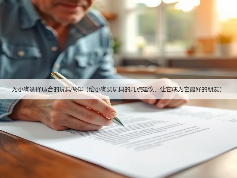 为小狗选择适合的玩具做伴（给小狗买玩具的几点建议，让它成为它最好的朋友）
