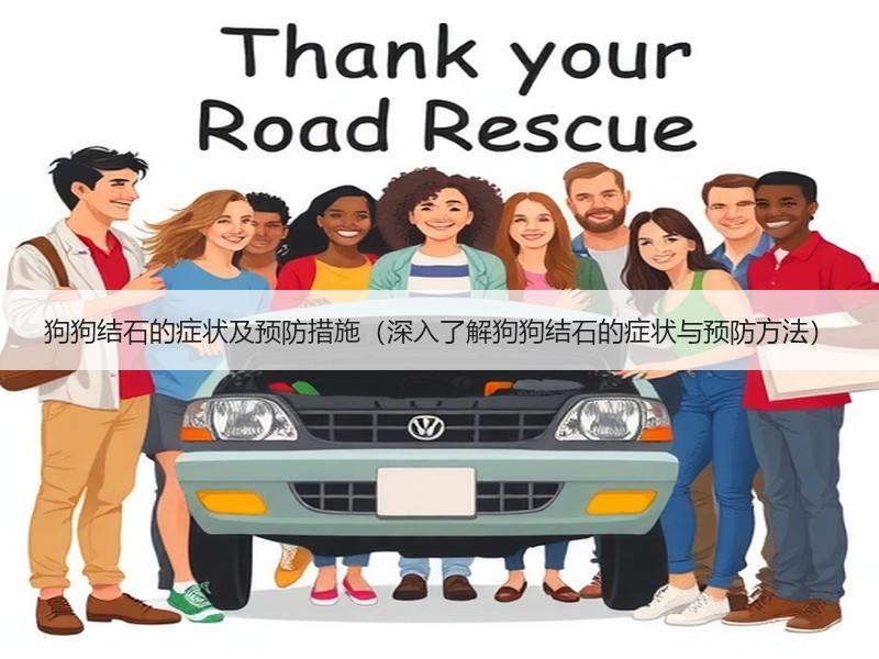 狗狗结石的症状及预防措施（深入了解狗狗结石的症状与预防方法）