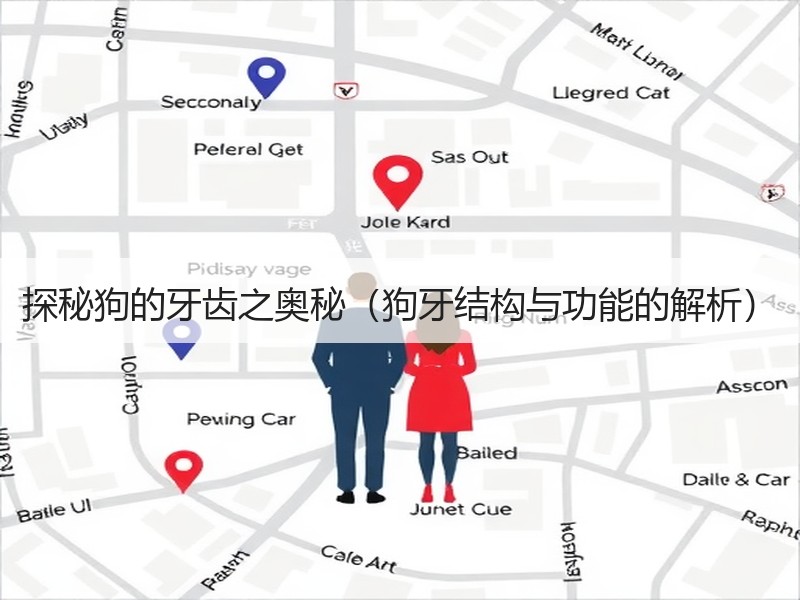 探秘狗的牙齿之奥秘（狗牙结构与功能的解析）