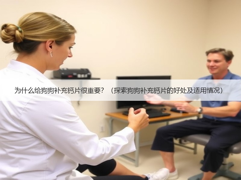 为什么给狗狗补充钙片很重要？（探索狗狗补充钙片的好处及适用情况）