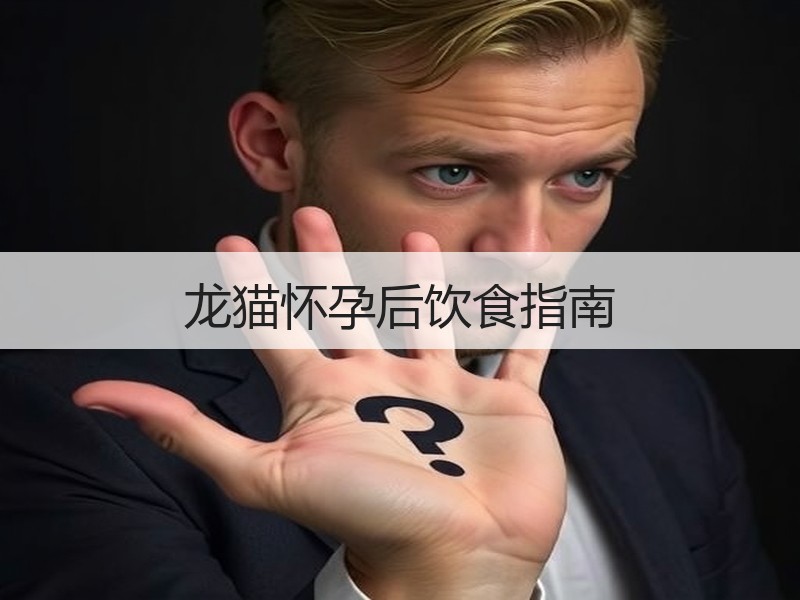龙猫怀孕后饮食指南
