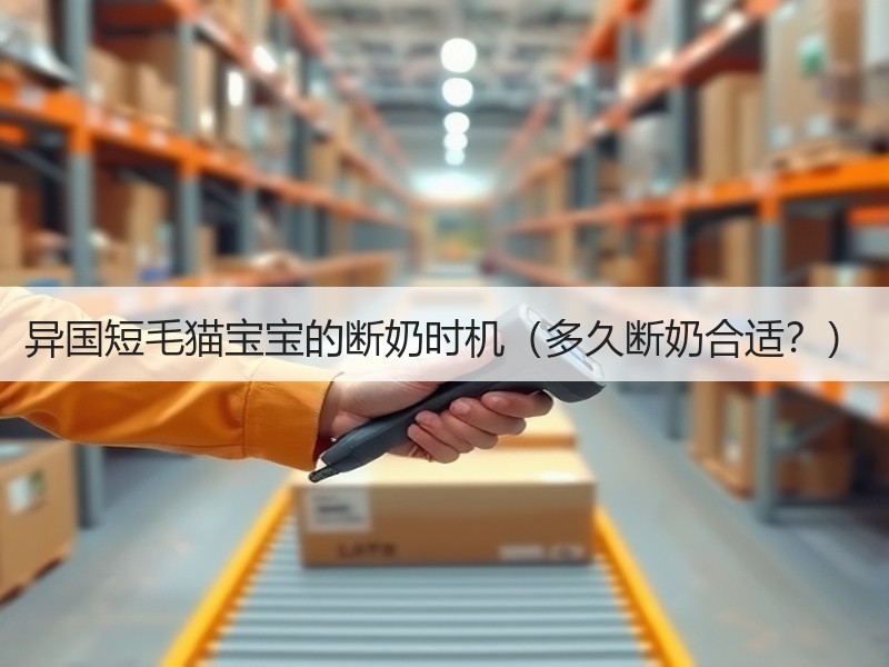 异国短毛猫宝宝的断奶时机（多久断奶合适？）