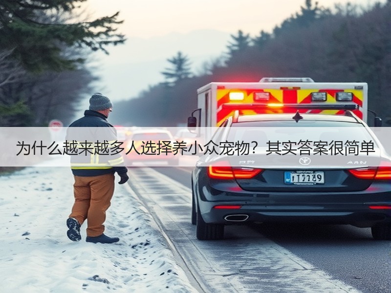 为什么越来越多人选择养小众宠物？其实答案很简单