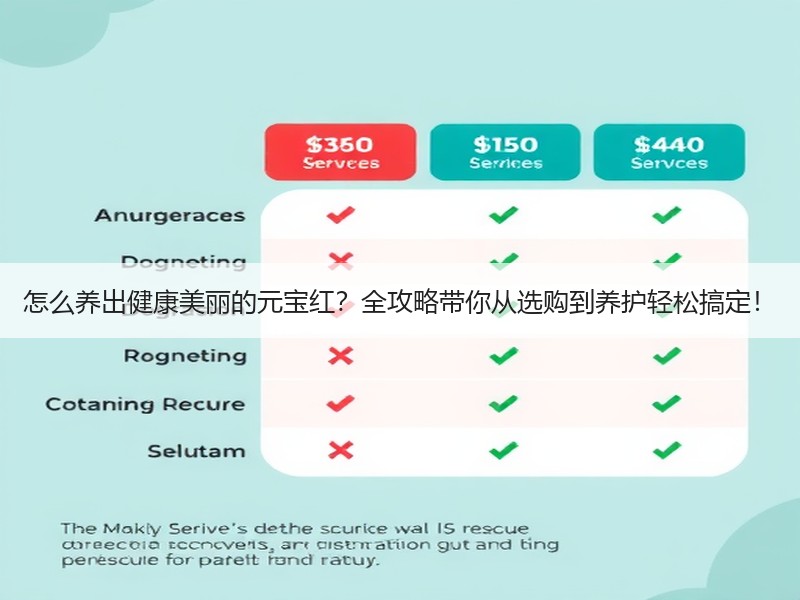 怎么养出健康美丽的元宝红？全攻略带你从选购到养护轻松搞定！