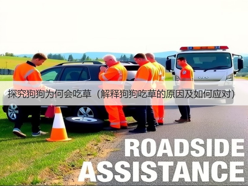 探究狗狗为何会吃草（解释狗狗吃草的原因及如何应对）