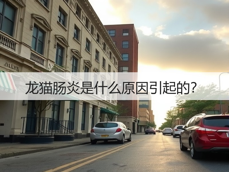 龙猫肠炎是什么原因引起的？