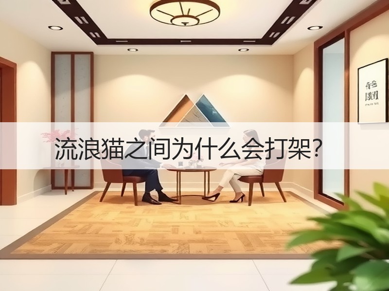 流浪猫之间为什么会打架？