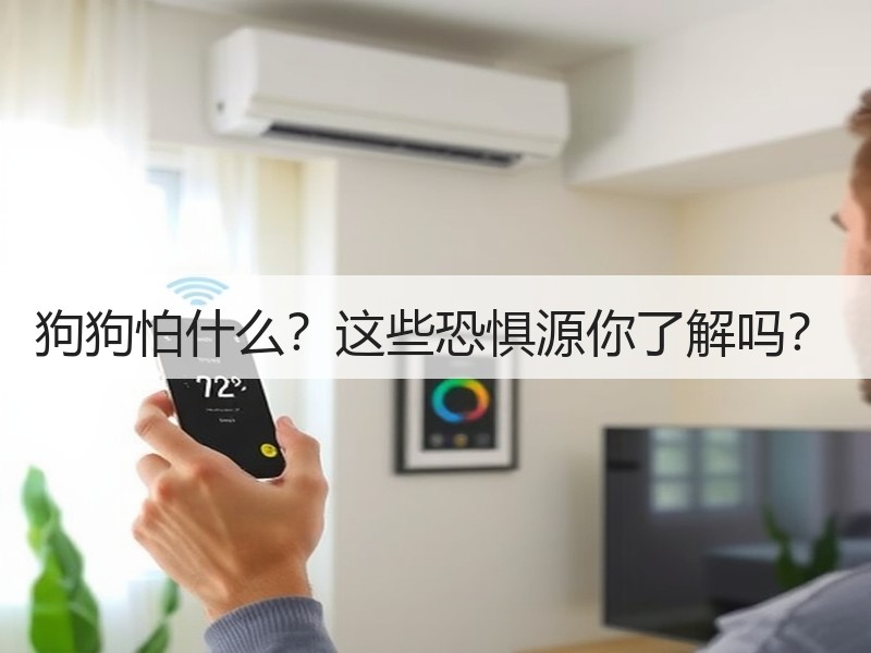 狗狗怕什么？这些恐惧源你了解吗？