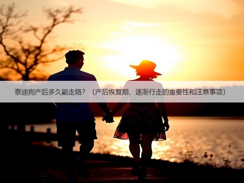 泰迪狗产后多久能走路？（产后恢复期、逐渐行走的重要性和注意事项）