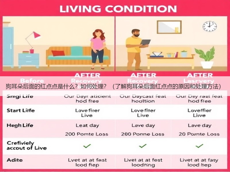 狗耳朵后面的红点点是什么？如何处理？（了解狗耳朵后面红点点的原因和处理方法）