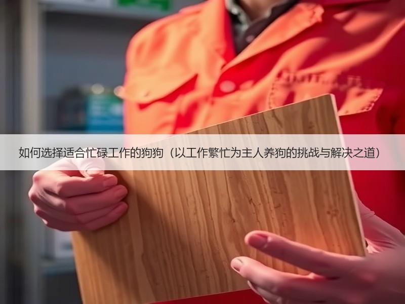 如何选择适合忙碌工作的狗狗（以工作繁忙为主人养狗的挑战与解决之道）