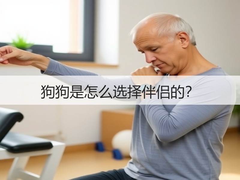 狗狗是怎么选择伴侣的？