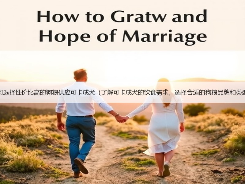 如何选择性价比高的狗粮供应可卡成犬（了解可卡成犬的饮食需求，选择合适的狗粮品牌和类型）