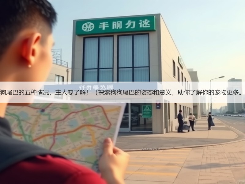 狗狗尾巴的五种情况，主人要了解！（探索狗狗尾巴的姿态和意义，助你了解你的宠物更多。）