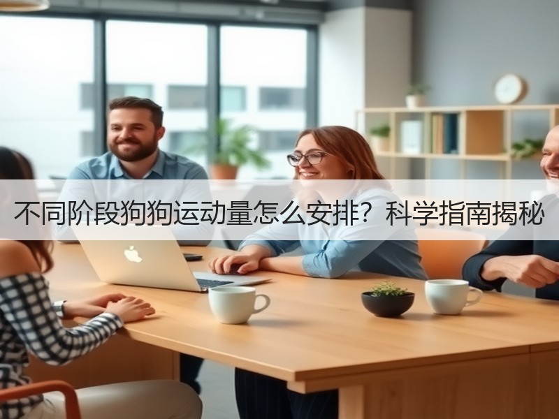 不同阶段狗狗运动量怎么安排？科学指南揭秘