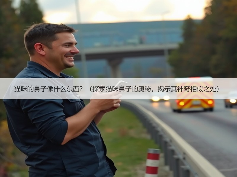 猫咪的鼻子像什么东西？（探索猫咪鼻子的奥秘，揭示其神奇相似之处）