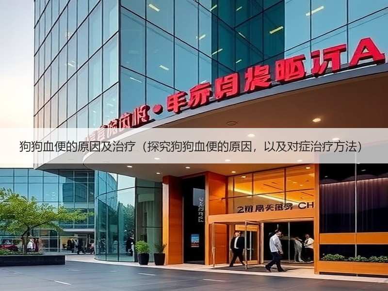 狗狗血便的原因及治疗（探究狗狗血便的原因，以及对症治疗方法）