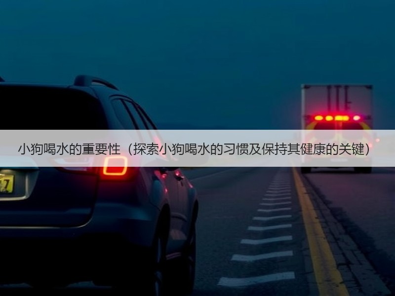 小狗喝水的重要性（探索小狗喝水的习惯及保持其健康的关键）