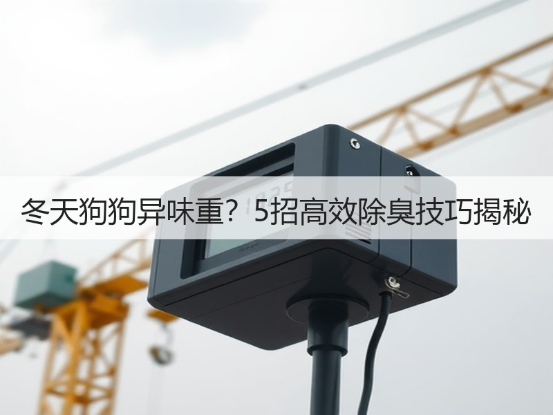 冬天狗狗异味重？5招高效除臭技巧揭秘