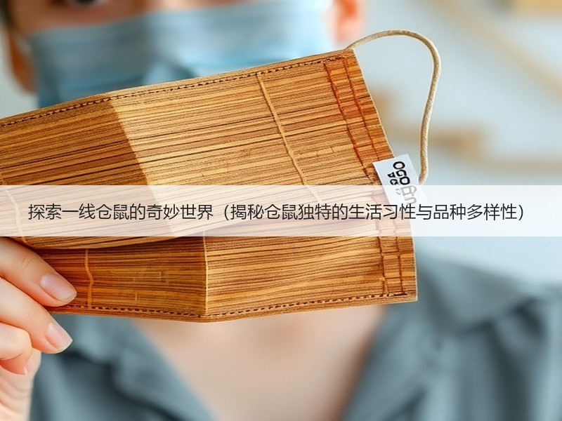 探索一线仓鼠的奇妙世界（揭秘仓鼠独特的生活习性与品种多样性）