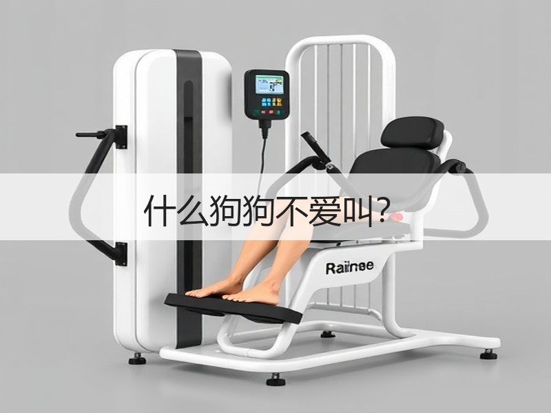 什么狗狗不爱叫？