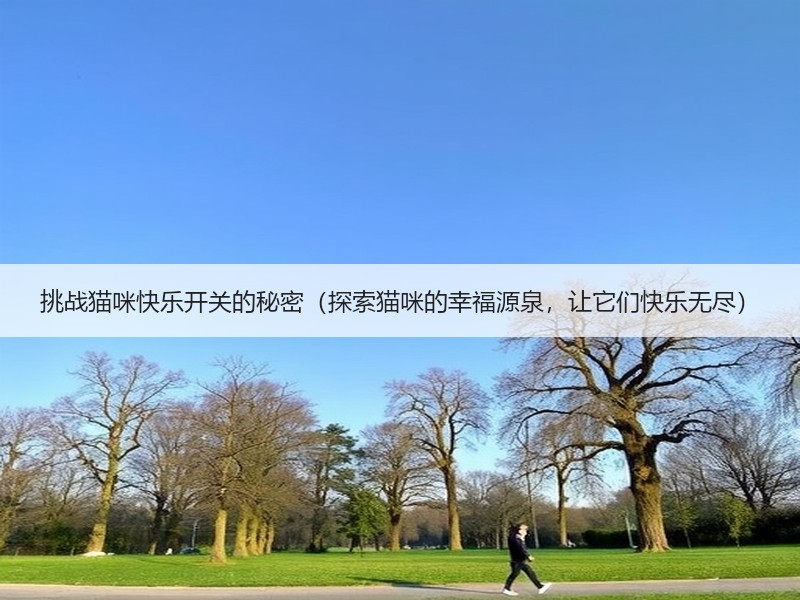 挑战猫咪快乐开关的秘密（探索猫咪的幸福源泉，让它们快乐无尽）