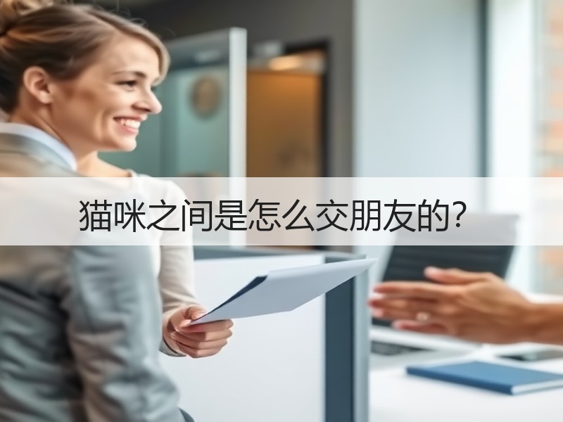 猫咪之间是怎么交朋友的？