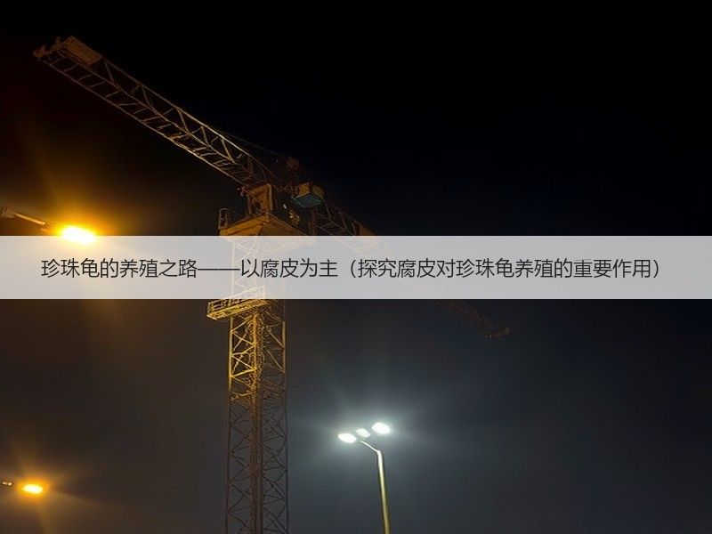 珍珠龟的养殖之路——以腐皮为主（探究腐皮对珍珠龟养殖的重要作用）