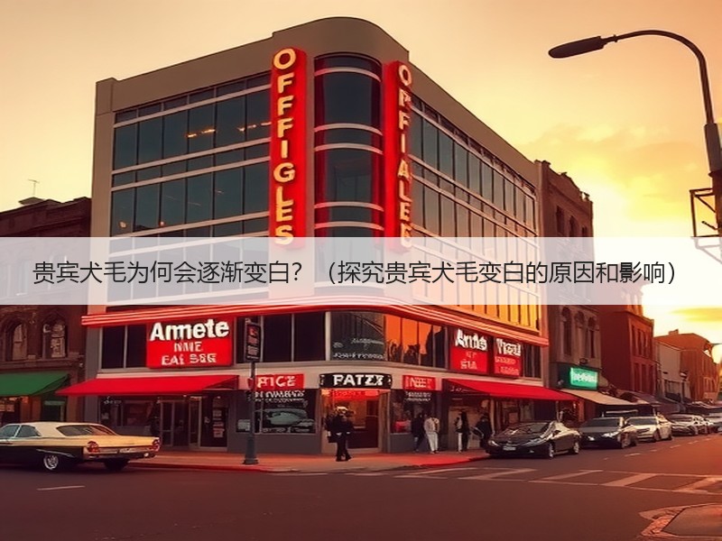 贵宾犬毛为何会逐渐变白？（探究贵宾犬毛变白的原因和影响）