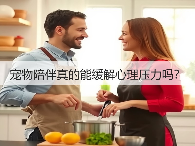 宠物陪伴真的能缓解心理压力吗？
