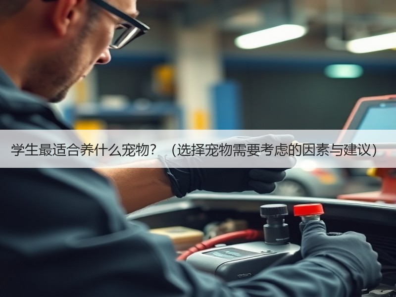 学生最适合养什么宠物？（选择宠物需要考虑的因素与建议）