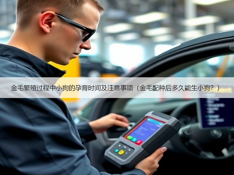 金毛繁殖过程中小狗的孕育时间及注意事项（金毛配种后多久能生小狗？）