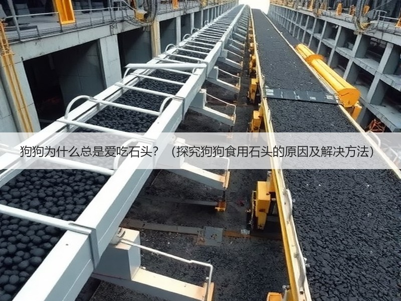 狗狗为什么总是爱吃石头？（探究狗狗食用石头的原因及解决方法）