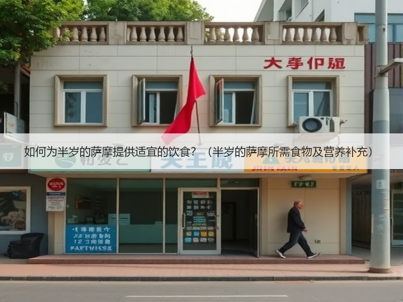 如何为半岁的萨摩提供适宜的饮食？（半岁的萨摩所需食物及营养补充）