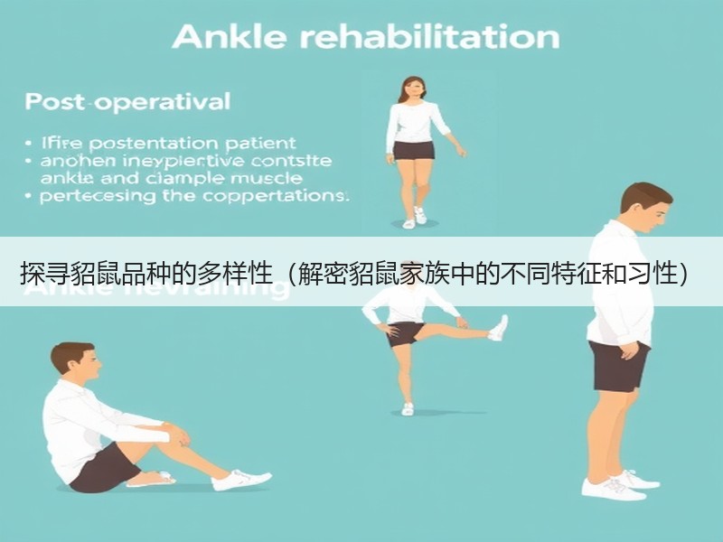 探寻貂鼠品种的多样性（解密貂鼠家族中的不同特征和习性）